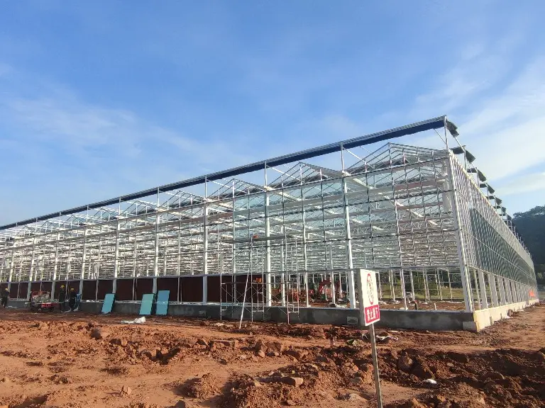 Best Greenhouse for Tomatoes Available - - Jianda Greenhouse-1 2