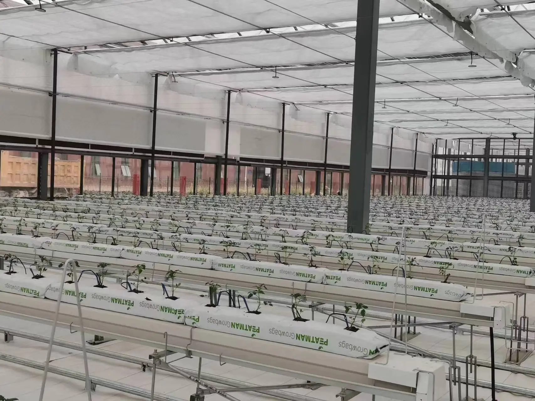 Best Greenhouse for Tomatoes Available - - Jianda Greenhouse-1 7