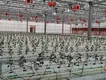 Best Greenhouse for Tomatoes Available - - Jianda Greenhouse-1 8