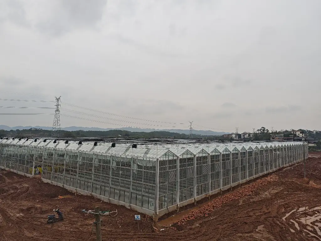 Greenhouses for Sale T/T by Jianda Greenhouse 2