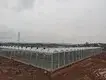 Greenhouses for Sale T/T by Jianda Greenhouse 2