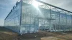 Greenhouses for Sale T/T by Jianda Greenhouse 4