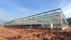 Greenhouses for Sale T/T by Jianda Greenhouse 6