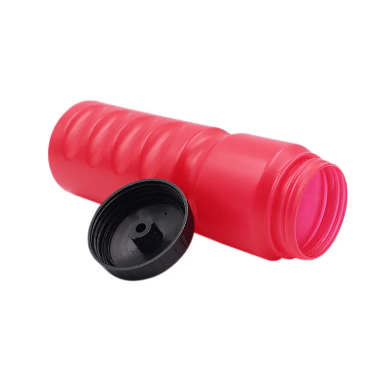 Wholesale Water Bottles PE 7.5*26cmmade in China 3