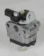 Brushcutter Carburetor Stable - - Stable 3