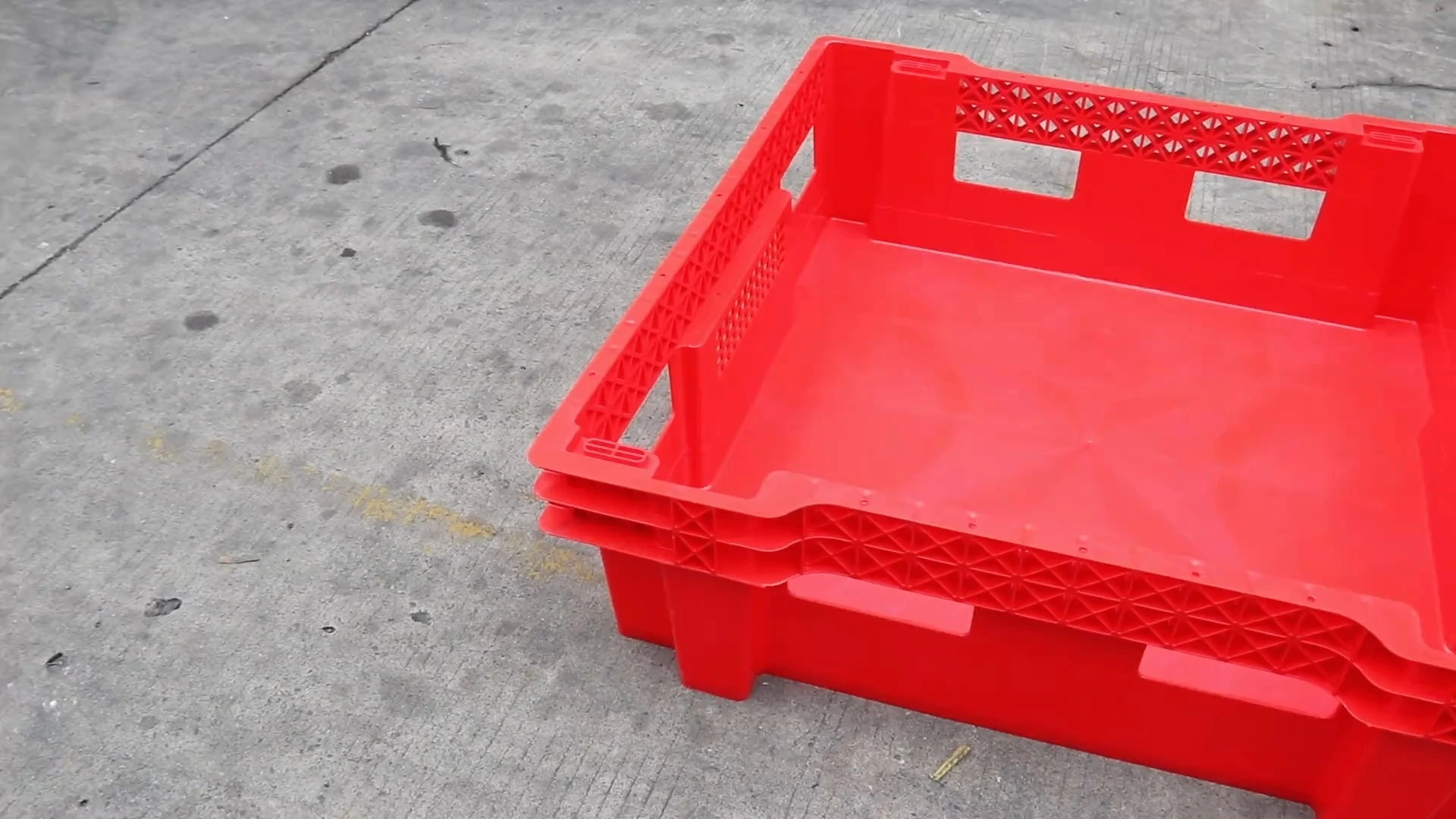 BSF BOXES / WORM BOXES/INSECT BOXES 1