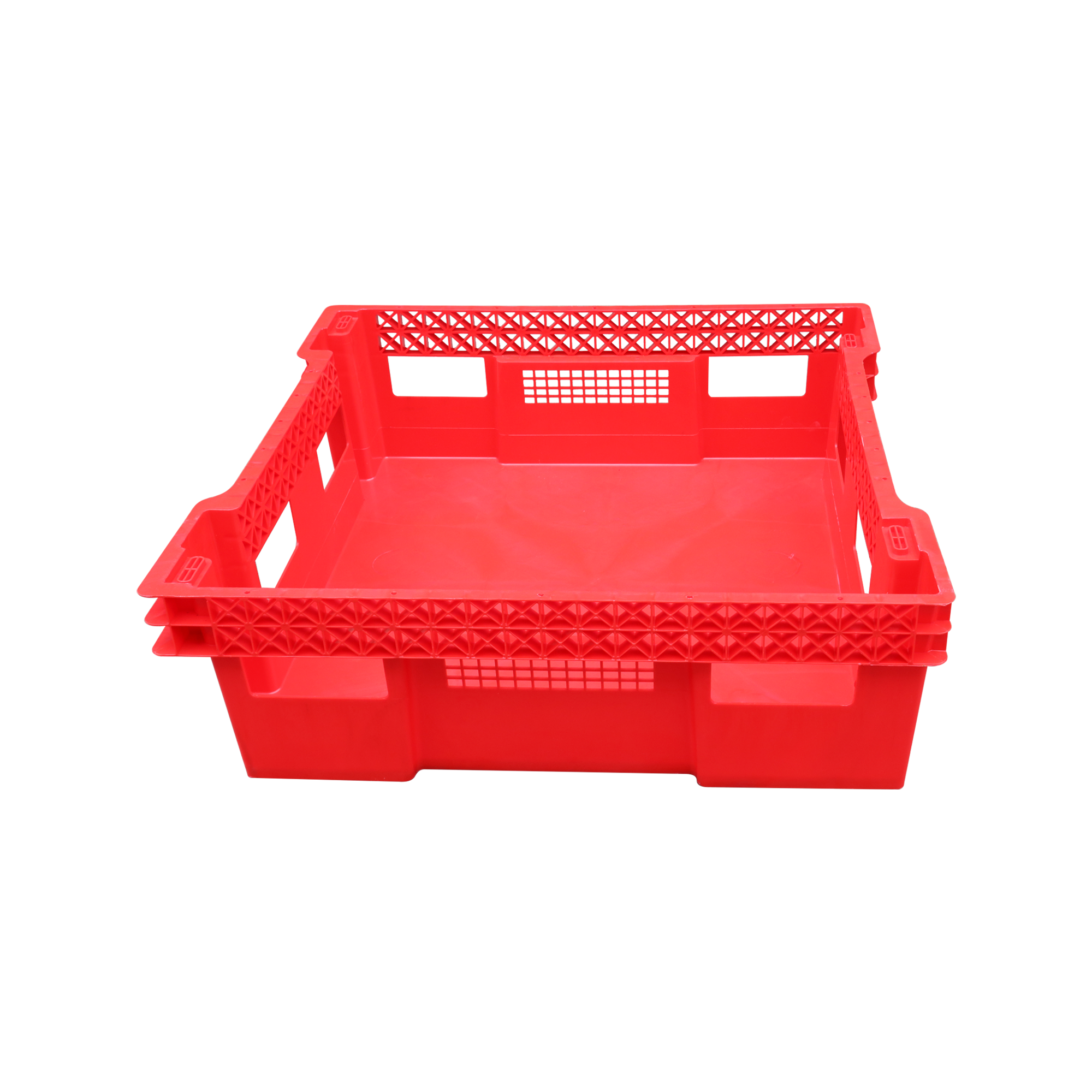 BSF BOXES / WORM BOXES/INSECT BOXES 8