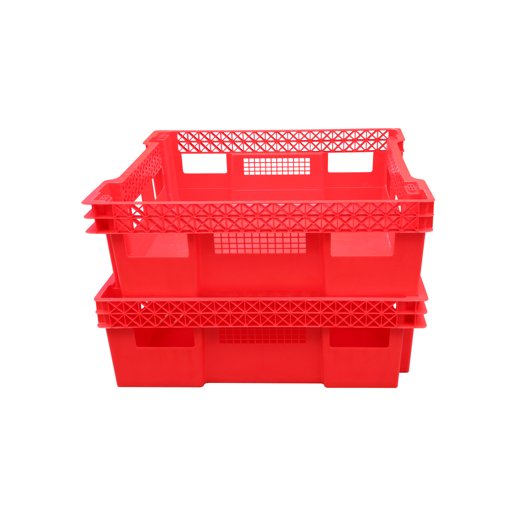 BSF BOXES / WORM BOXES/INSECT BOXES 7