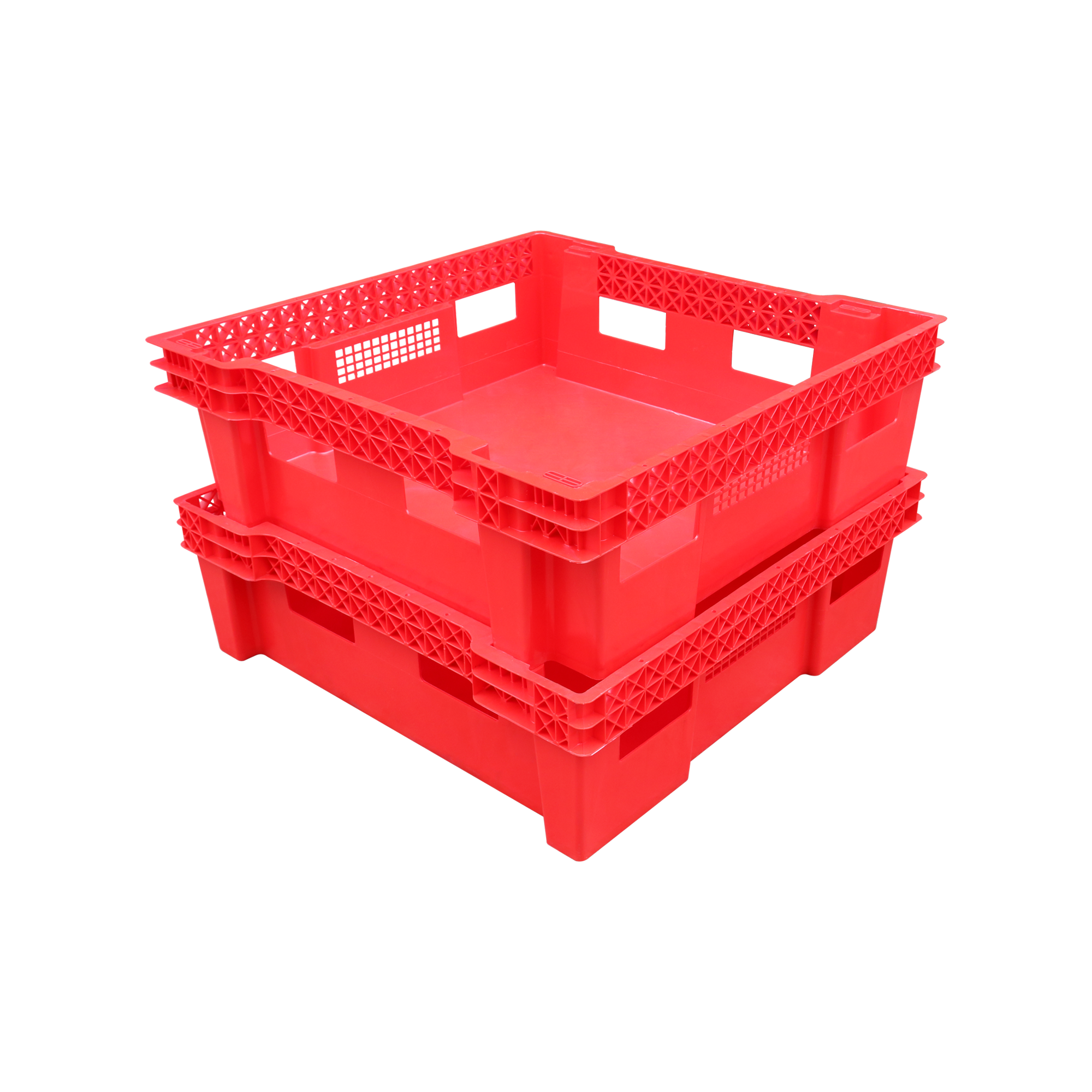 BSF BOXES / WORM BOXES/INSECT BOXES 6