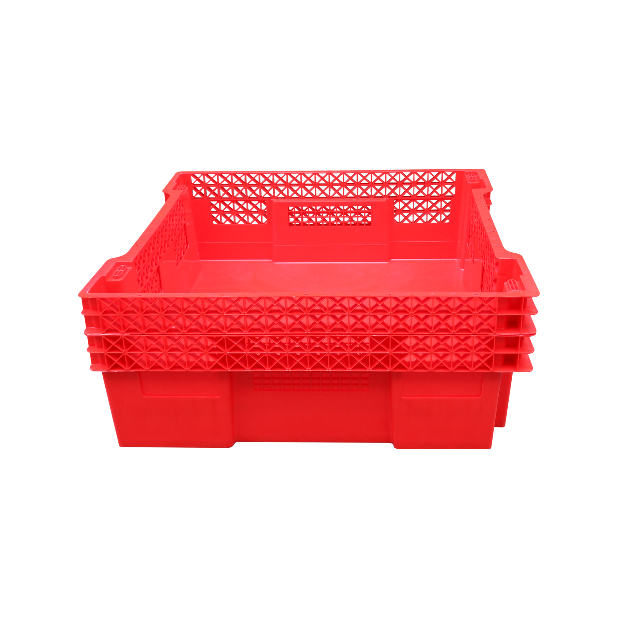 BSF BOXES / WORM BOXES/INSECT BOXES 5