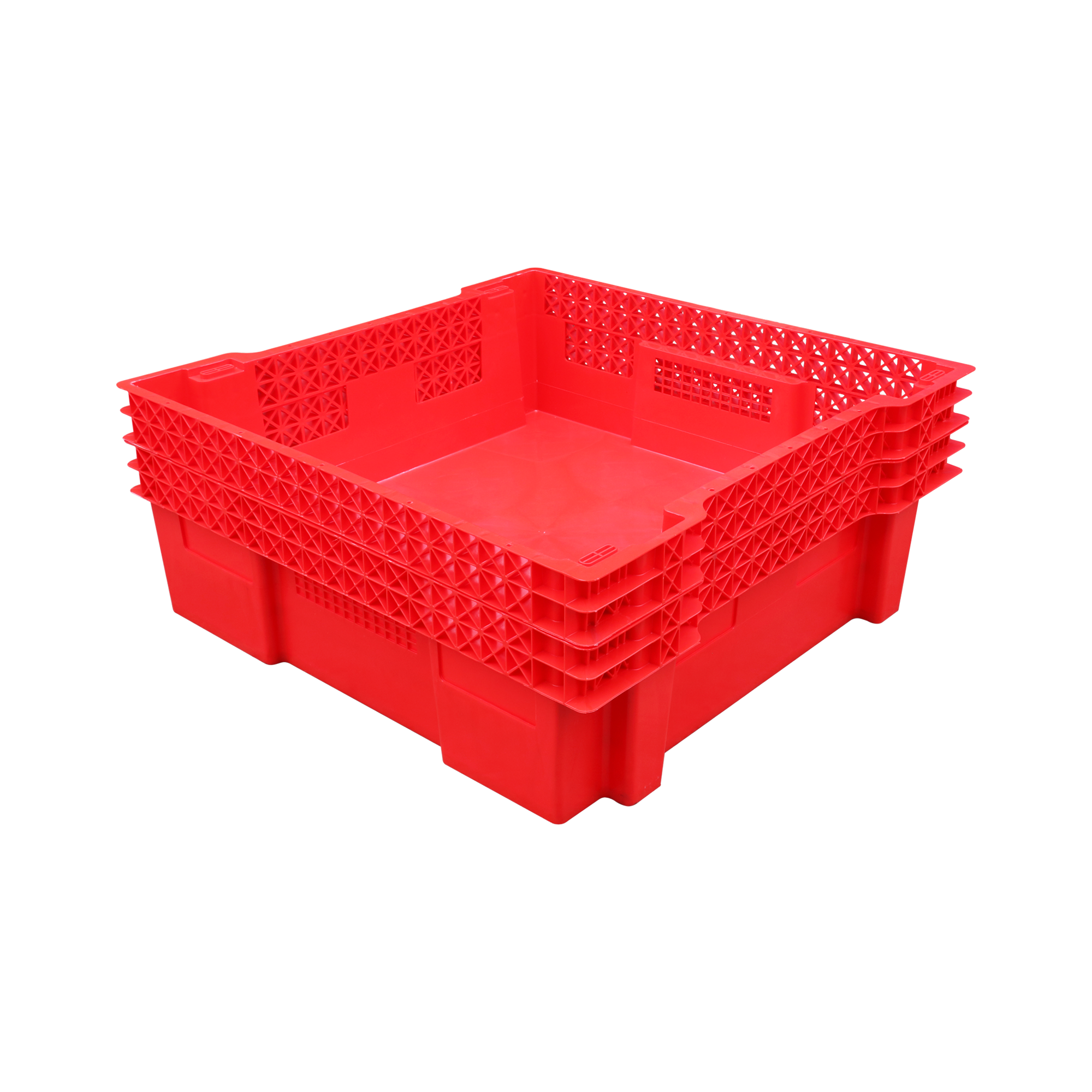 BSF BOXES / WORM BOXES/INSECT BOXES 4