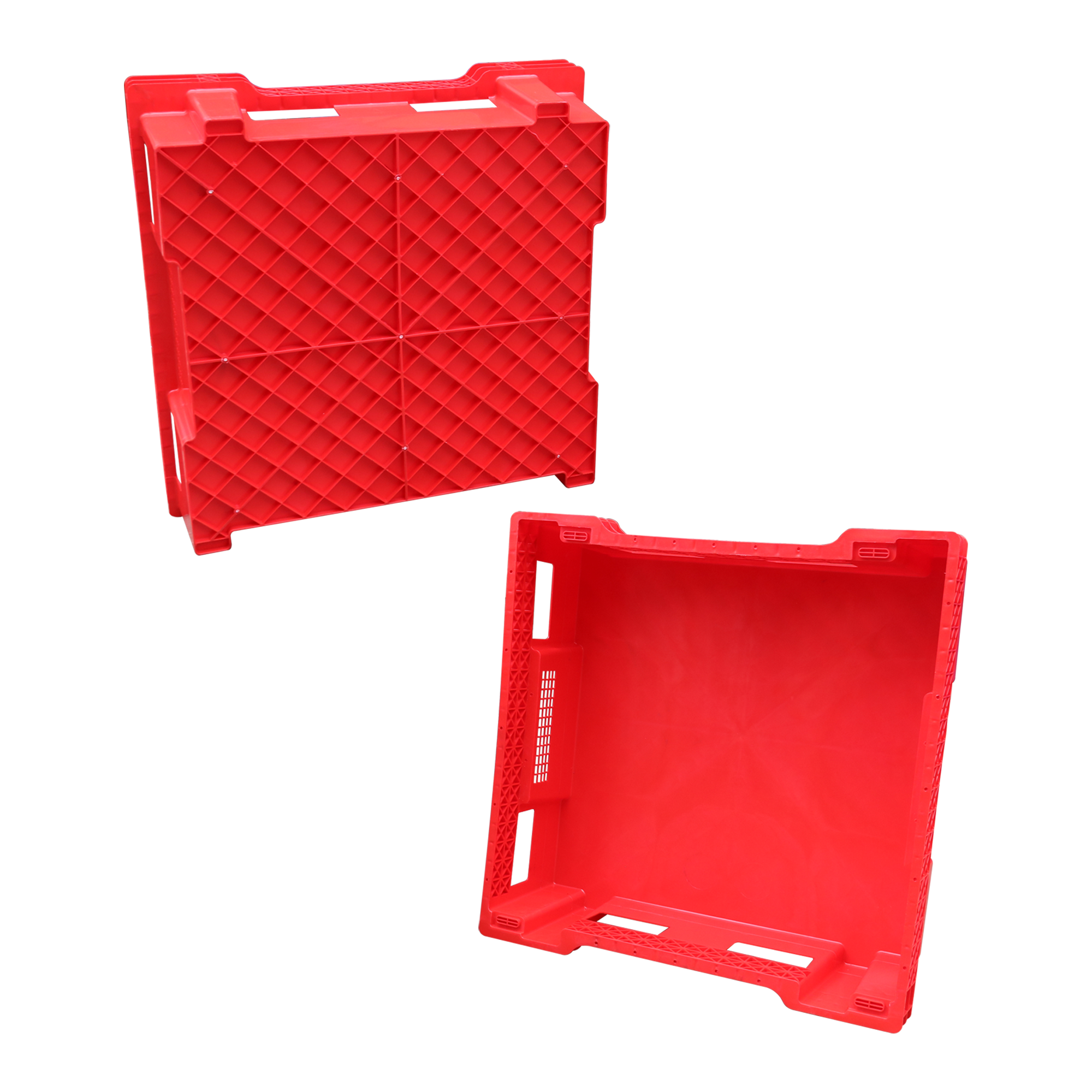 BSF BOXES / WORM BOXES/INSECT BOXES 3