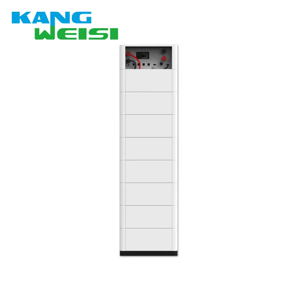 Kangweisi Lithium Ion Battery Manufacturer 48/51.2Vsupply 7