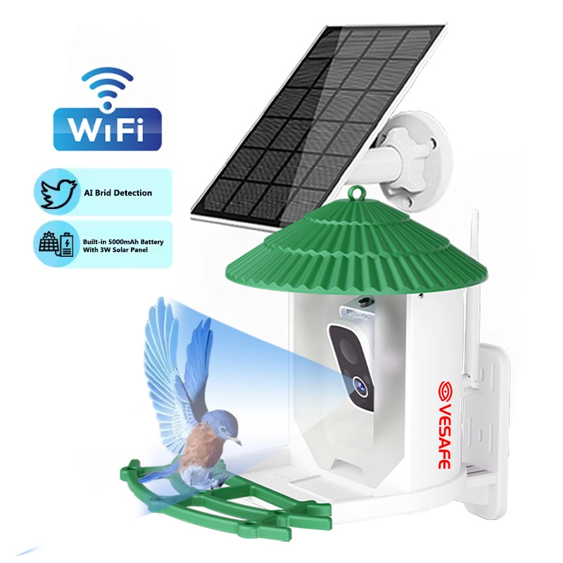Comedero para pájaros Cámara solar con detección de aves AI 1