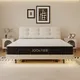 Bulkluxury Queen Mattress for Home 6