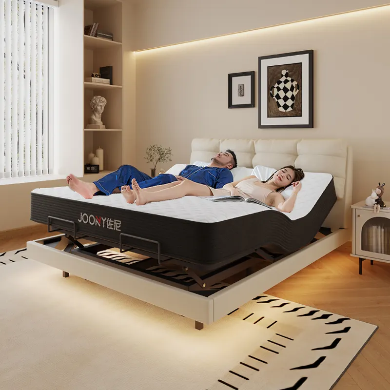 Bulkluxury Queen Mattress for Home 2