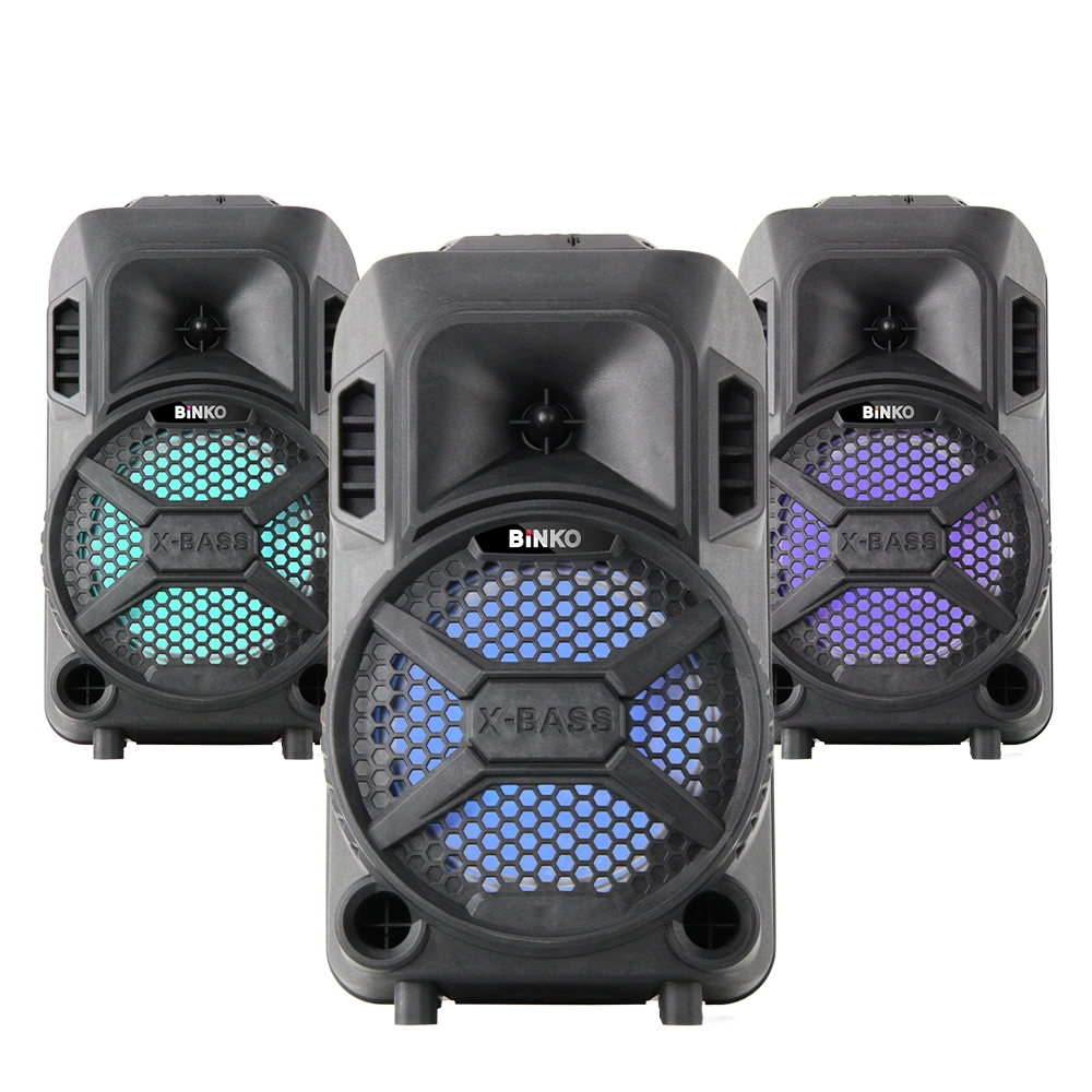 8 Inch Outdoor Trolley Woofer Amplifier Boards CAixinha de Som Bluetooth Speakers RGB LED Cars Computers Karaoke Up to 20H Playtime Long Lasting Battery BiNKO YX-1211 1