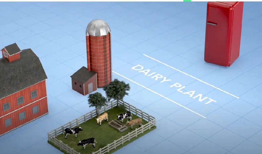 Wenzhou Suote Dairy Lines with Custom Services 3