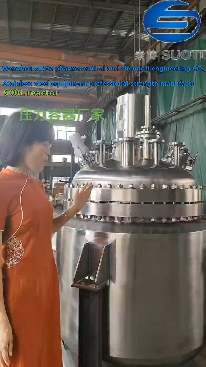 500L Stainless Steel Reactor
