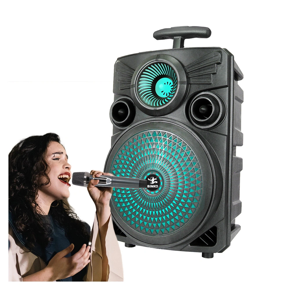 Up to 20H Playtime 8'' Woofer Outdoor Trolley Boombox Speakers Wireless Bluetooth5.0 Connection LED RGB Features For Parties,Events,Gift Idea BiNKO BK-83 1