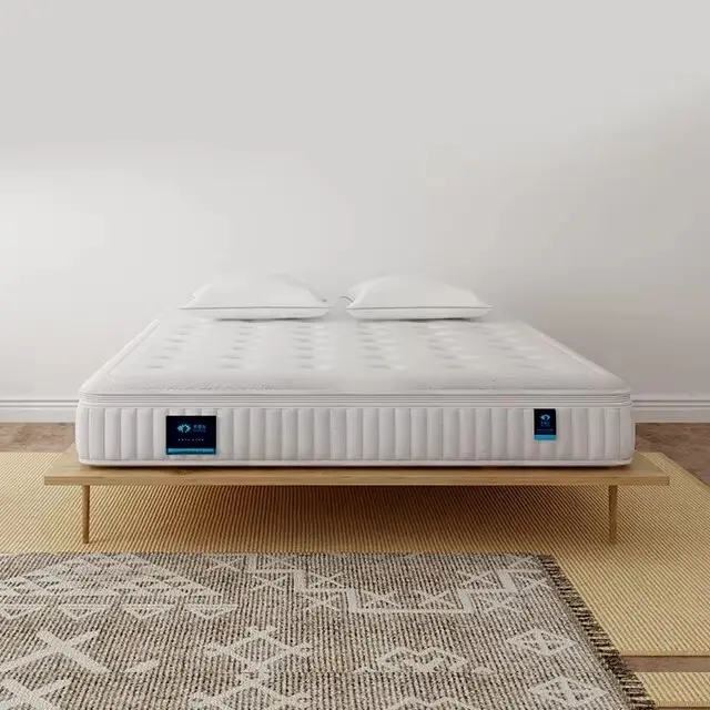 Memory Foam Sprung Mattress for Home Manufacturer 2