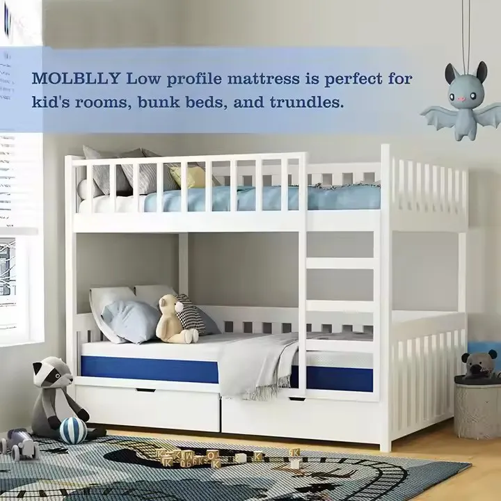 Latestsingle Memory Foam Mattress for Apartment 6