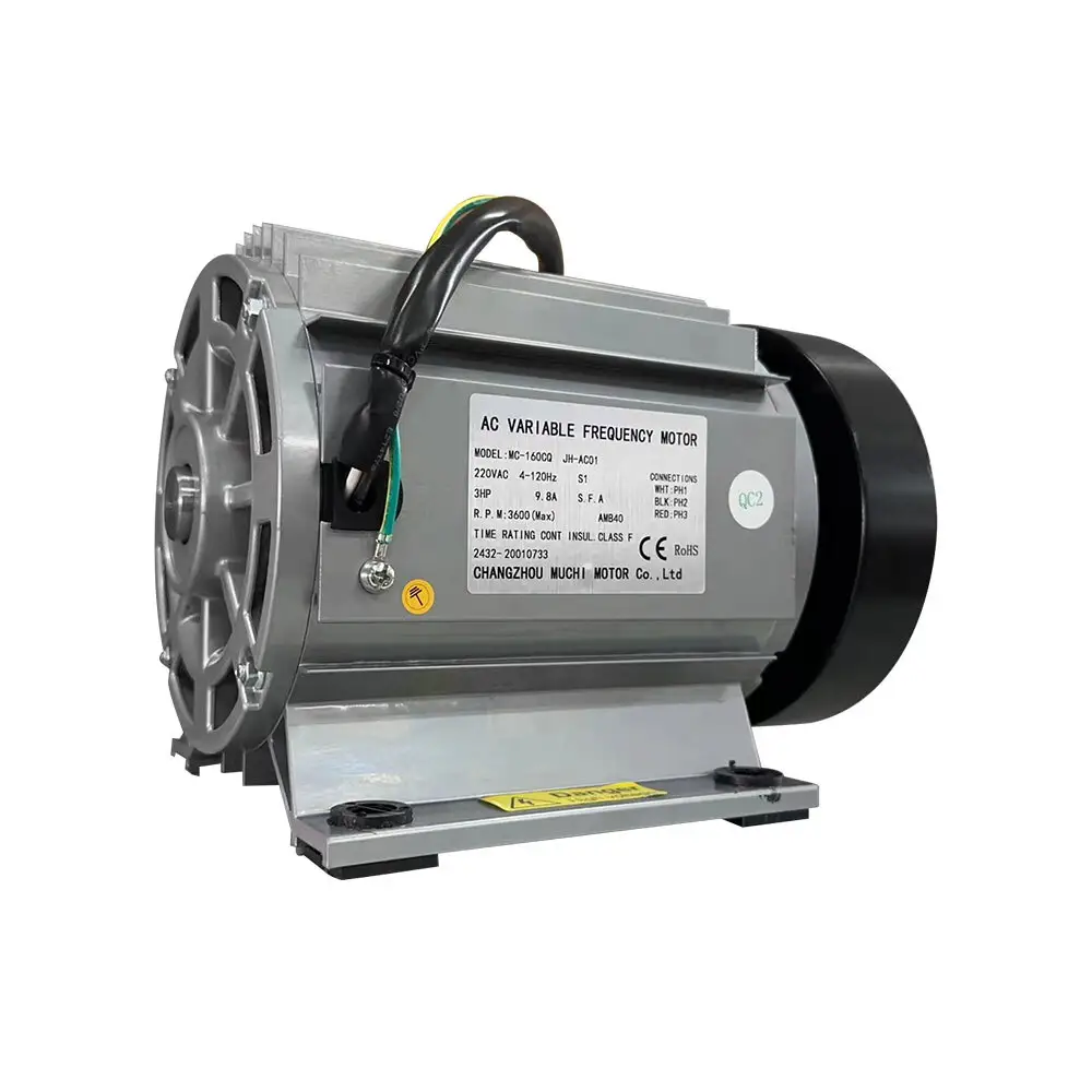 Custom3000w Hub Motor 7