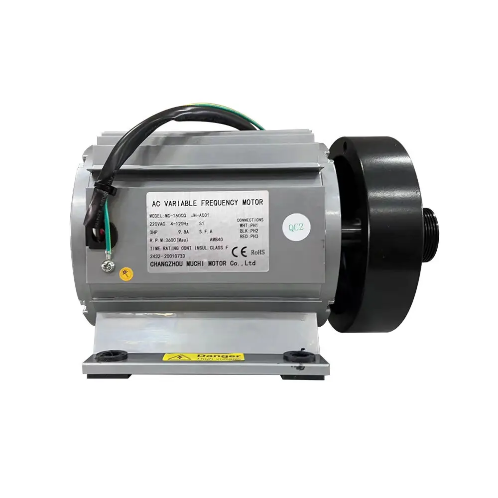 Custom3000w Hub Motor 5