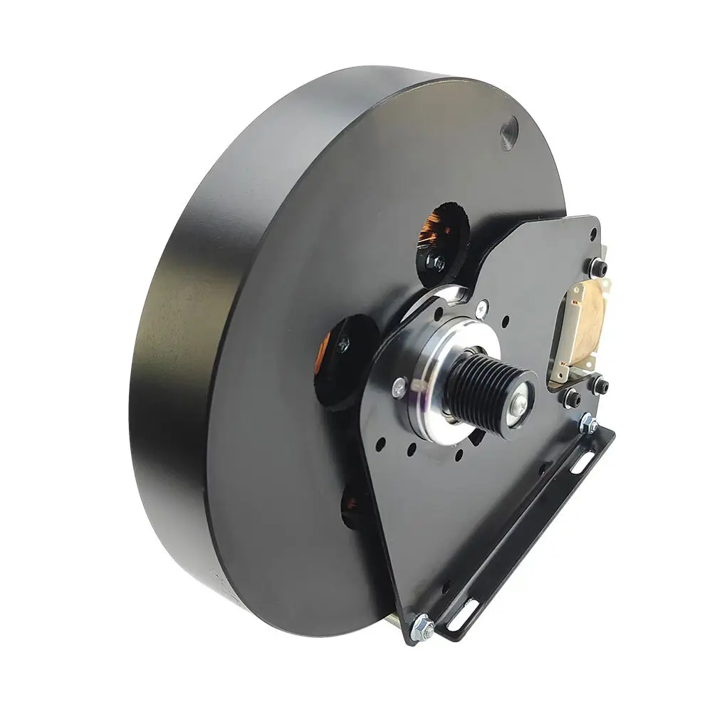 Professional 16 Inch Wheel Hub Motor with Custom Services 4