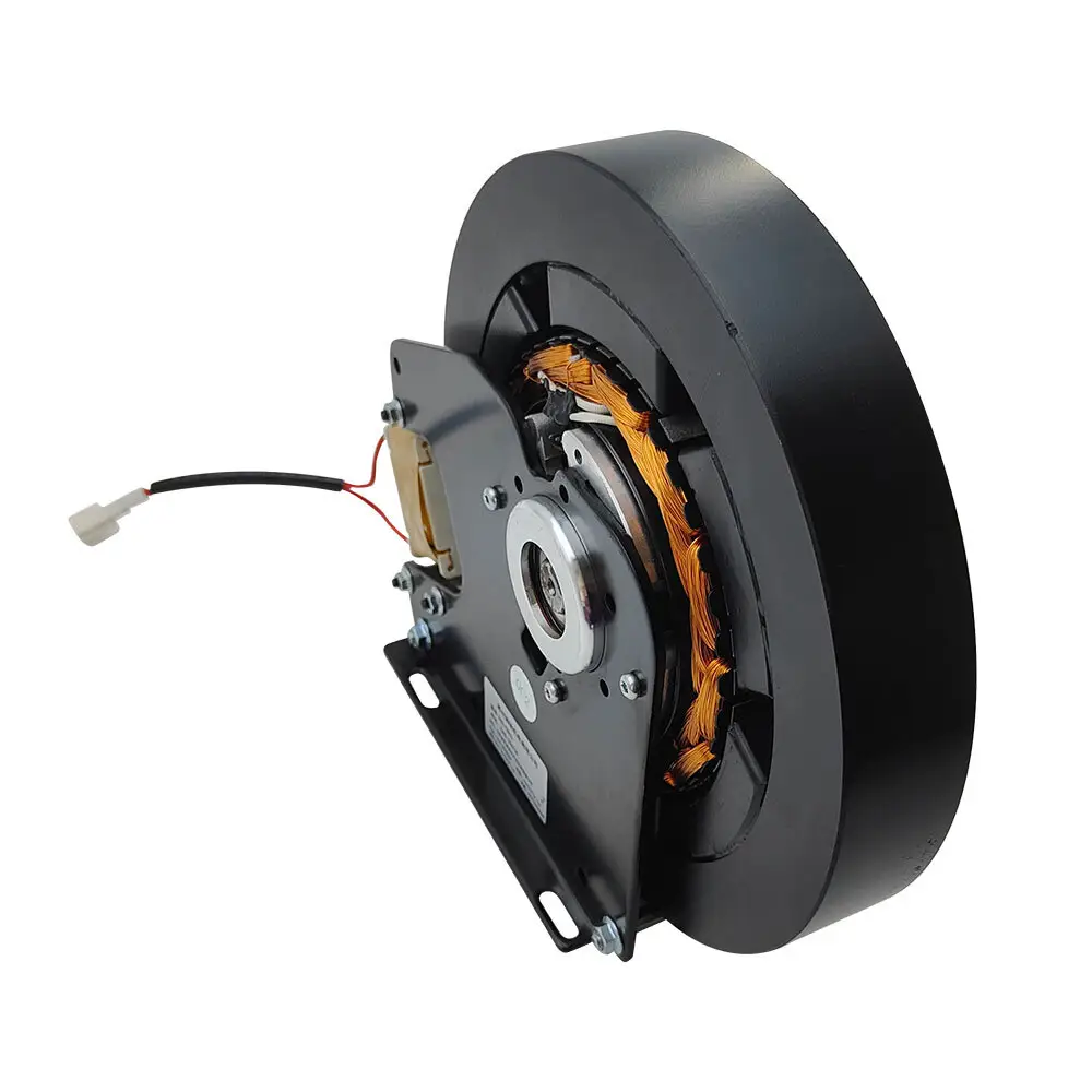 Professional 16 Inch Wheel Hub Motor with Custom Services 5