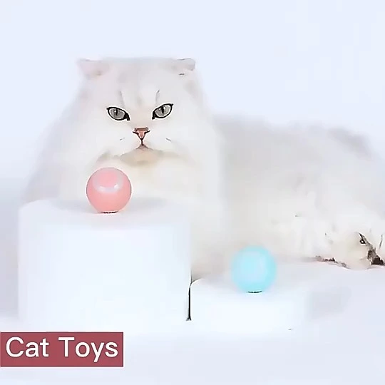 Jouet interactif de boule intelligente de chat de jouet de chat de Powerball, boule roulante automatique de puissance se déplaçant pour le chargement d'usb de chats d'intérieur-xinchen 1