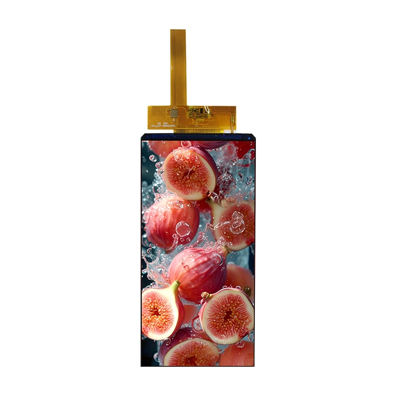 CNK 5.99 Inch TFT Display Module 1