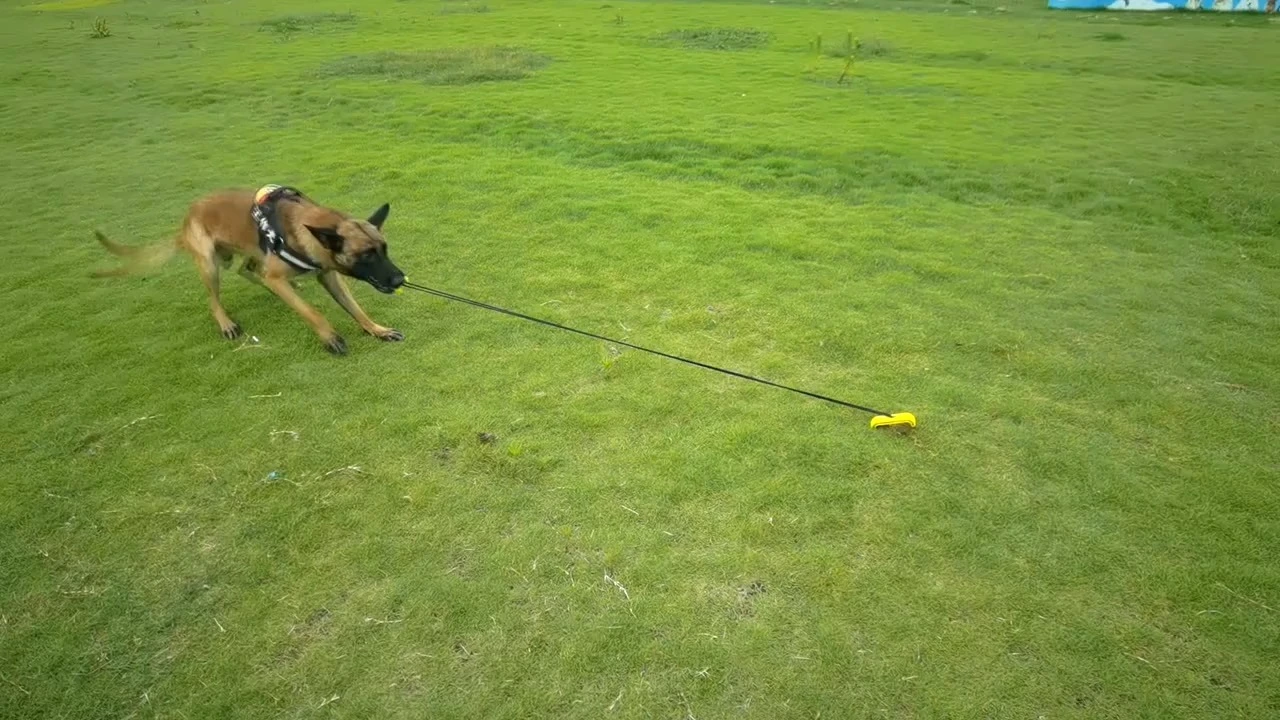 Laisse d'extérieur avec piquet de sol pour entraînement au sol, laisse de rallye pour chiens de taille moyenne et grande jusqu'à 125 lb, utilisation dans le jardin - Xinchen 1