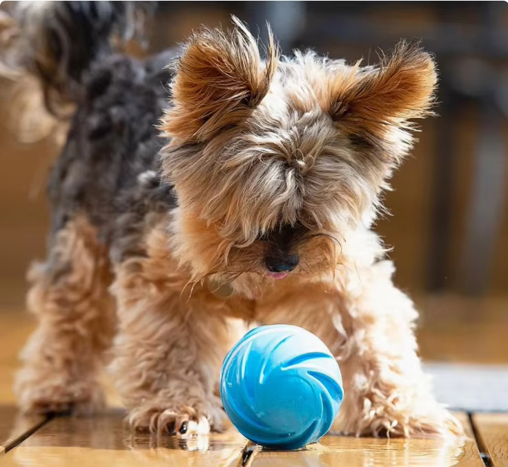 Venta al por mayor Wicked Ball Smart Pet Toys100% automático & Bola interactiva para perros Luces LED Bola rodante en movimiento para perros 1