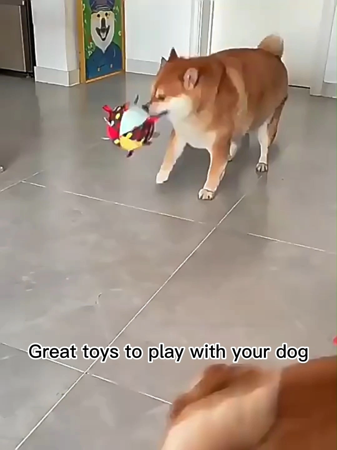 Jouets à mâcher en forme de soucoupe volante pour chien, peluches à mâcher pour animaux de compagnie, peluche vocale interactive résistante aux morsures, jouet compagnon reniflant pour animaux de compagnie-Xinchen 1