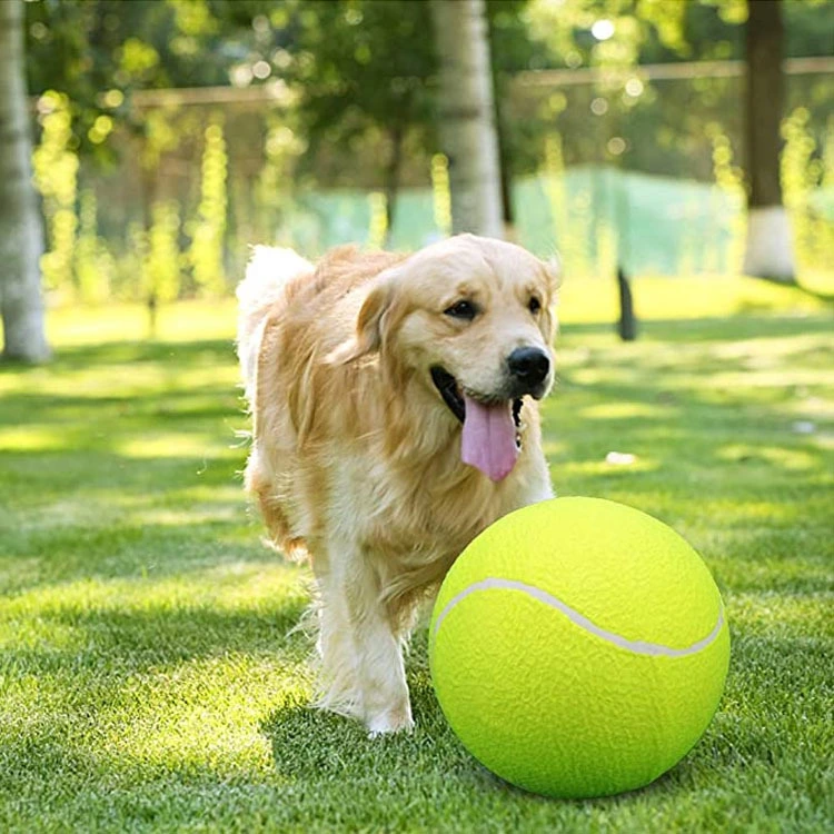 Balle de tennis pour animaux de compagnie de jouets à mâcher interactifs en caoutchouc gonflables pour chien OEM/ODM pour la balle de chien de formation avec du caoutchouc pour le jeu de chien-Xinchen 1