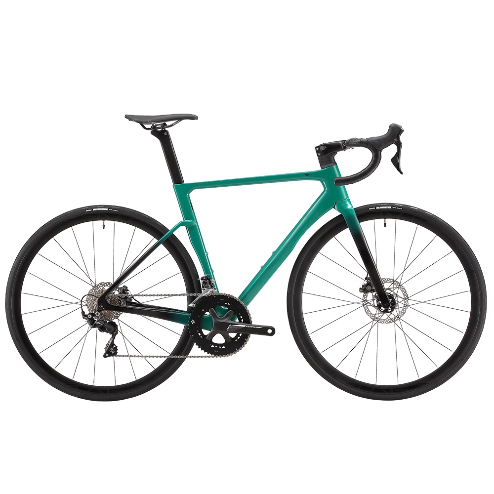 Carbon Fiber Road Bike Flat Mounted Disc Brake SHIMANO 105 R7000 Transmission-V1 1