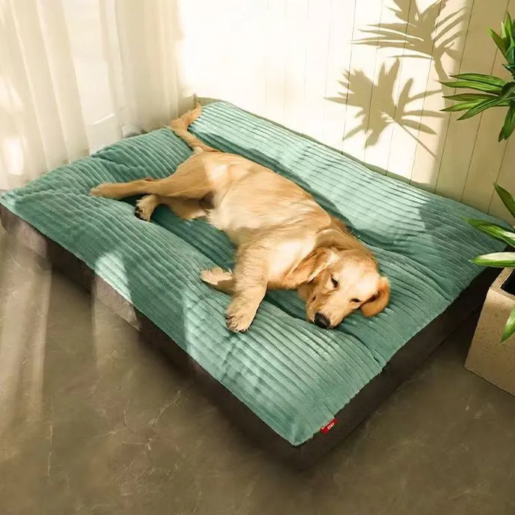 Good Selling Dog Travel Equipment for Cat 2