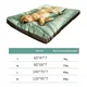 Good Selling Dog Travel Equipment for Cat 3