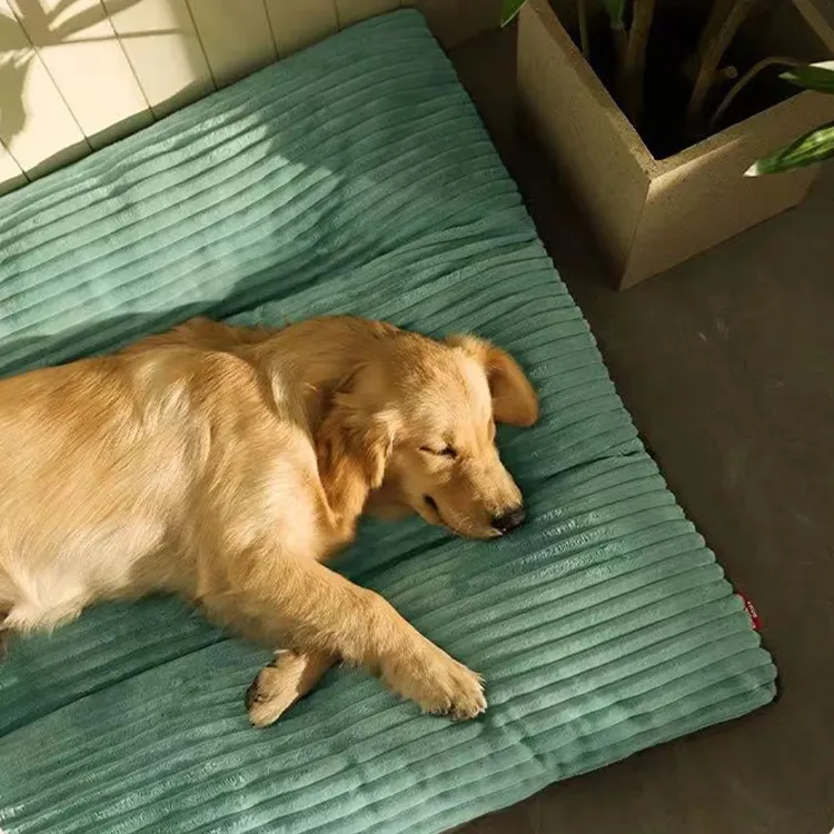 Good Selling Dog Travel Equipment for Cat 4