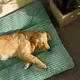 Good Selling Dog Travel Equipment for Cat 4