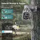 Solar Powered Camera 4g Factory Direct Supply 3