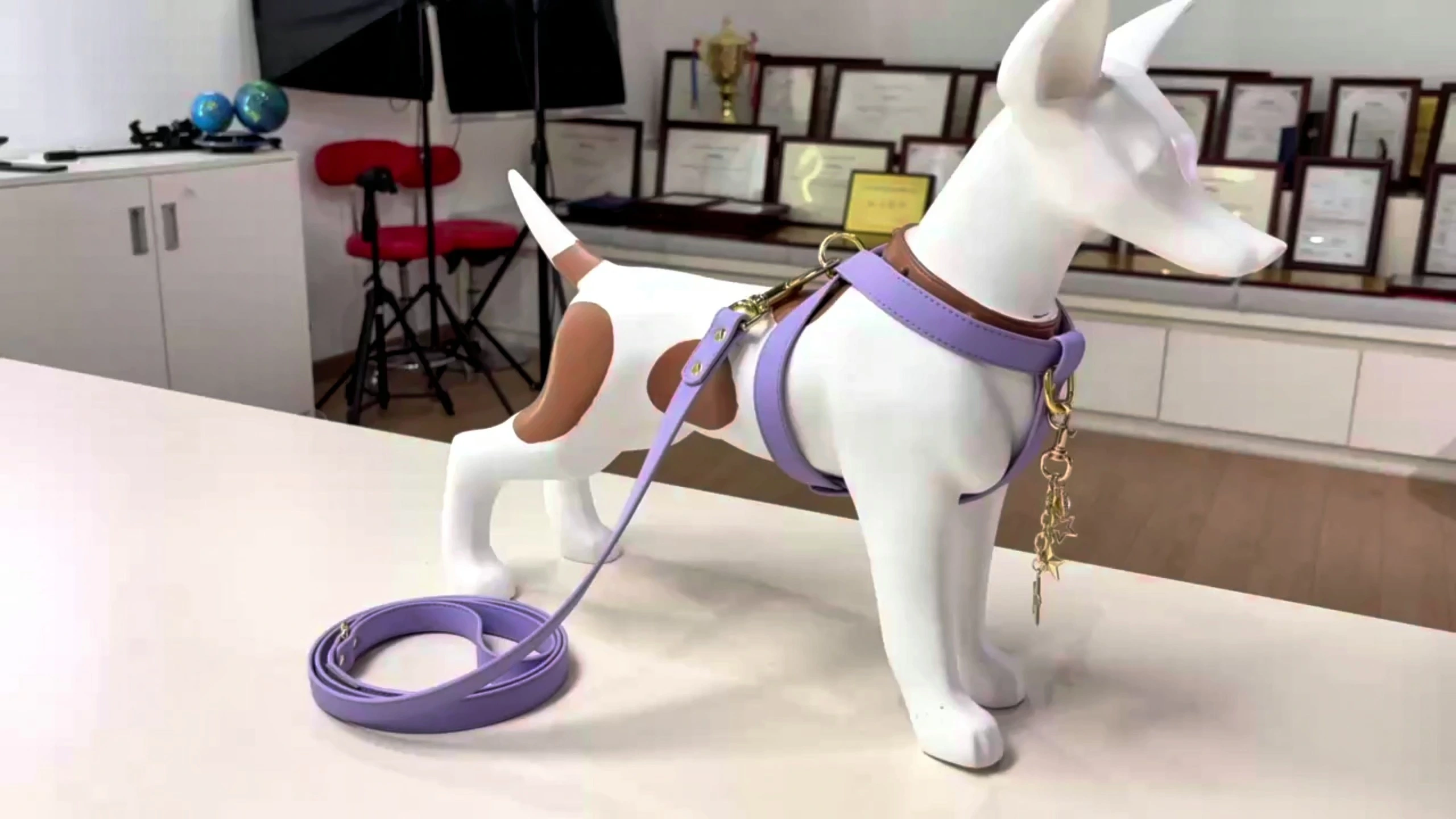 PAIRUIPETS luxe conception personnalisée PU petit animal de compagnie en cuir végétalien harnais pour chien petit grand chien laisse en cuir & ensemble de colliers 1