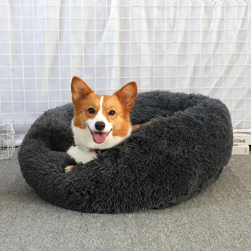 Pet Supplies - - Beiyuan 4