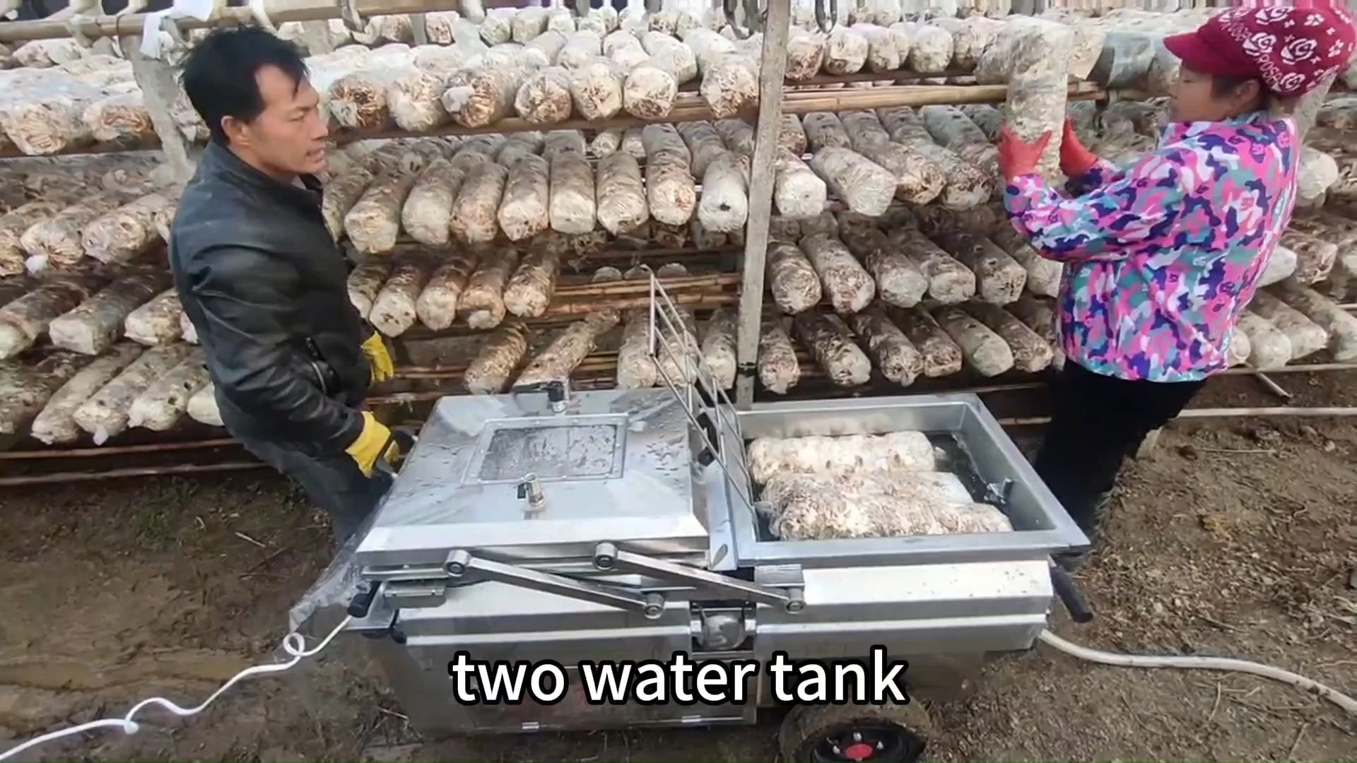 Machine de trempage d'eau de sac de champignon de Shiitake 1
