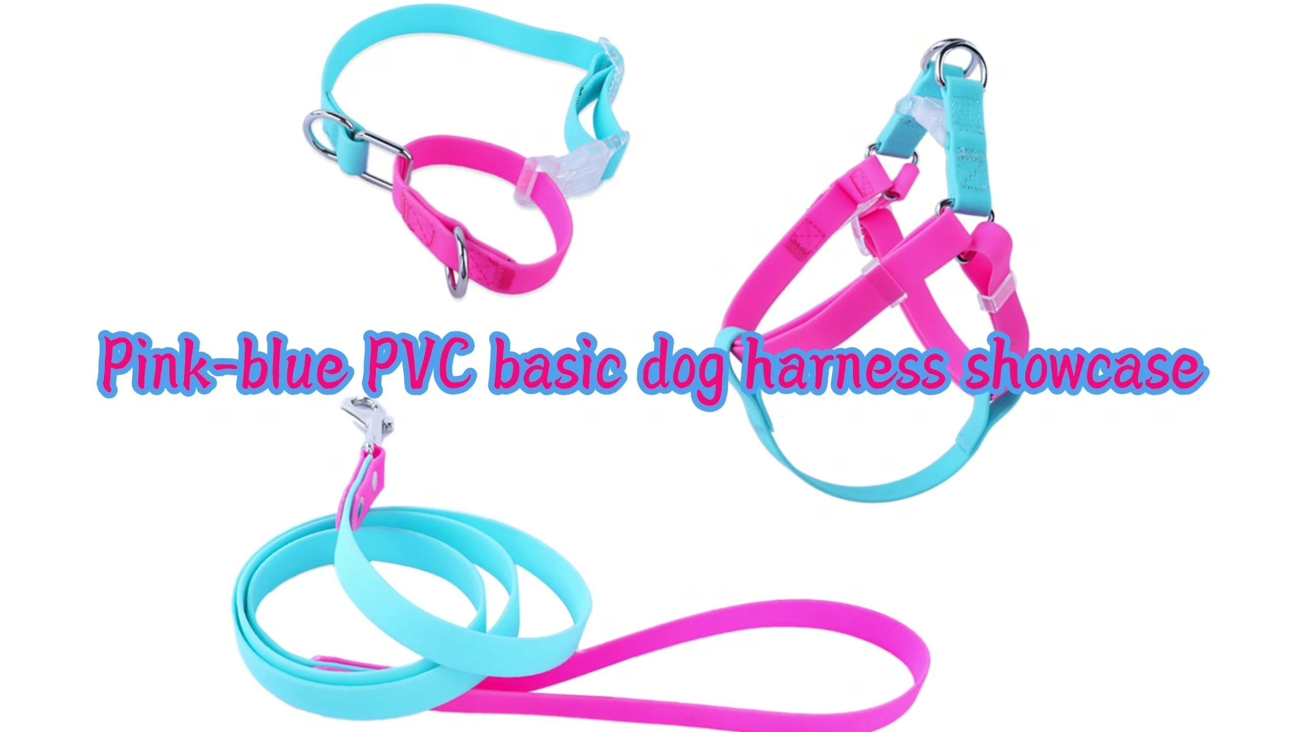 PAIRUIPETS ensemble de harnais de laisse à Double collier bicolore harnais en Pvc respectueux de la peau et imperméable avec prise confortable 1