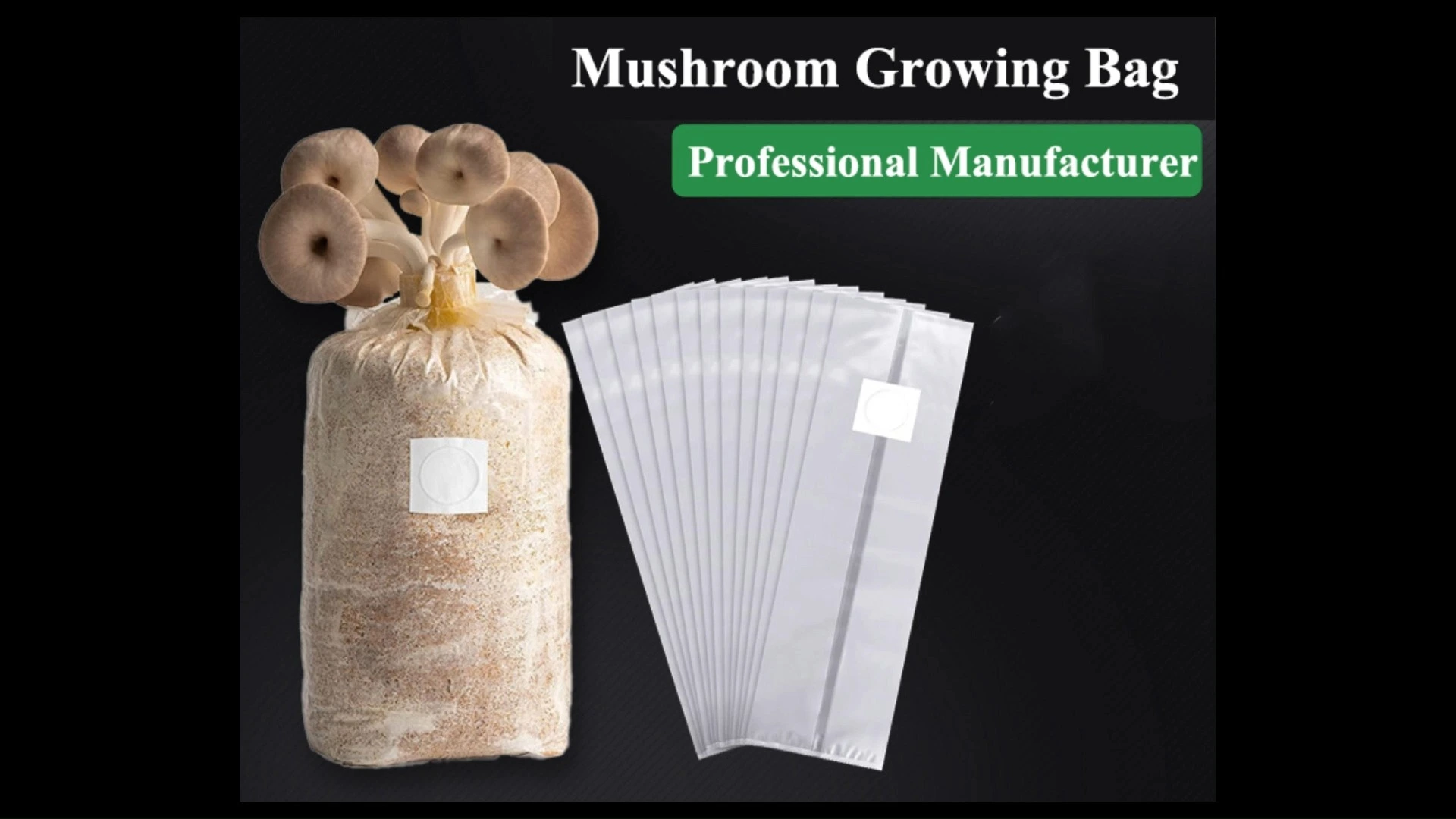 Mushroom Growing Bag 1