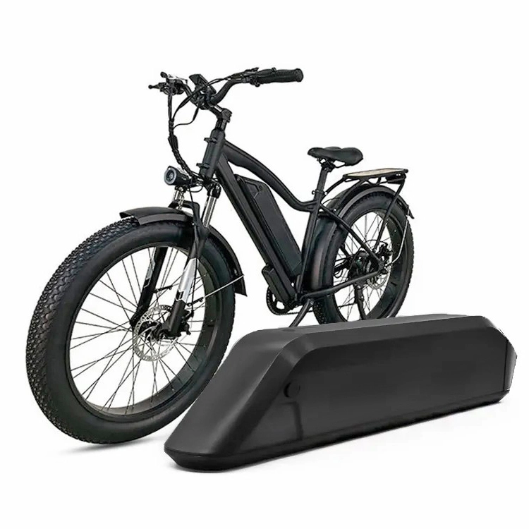 Reention Kirin 36V 48V 52V Custom Electric Bicycle Battery Manufacturer Rechargeable eBike Batteries Factory Direct Sales 1