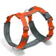 Padded Easy Walk Harness Dogs Wholesale - PairuiPets 8