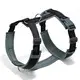 Padded Easy Walk Harness Dogs Wholesale - PairuiPets 7